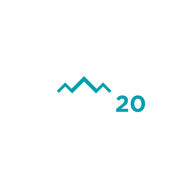 logo Tina 20