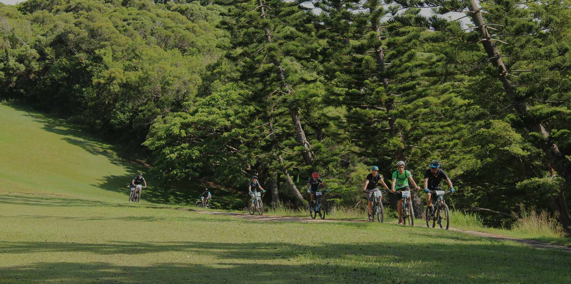 vélo forêt