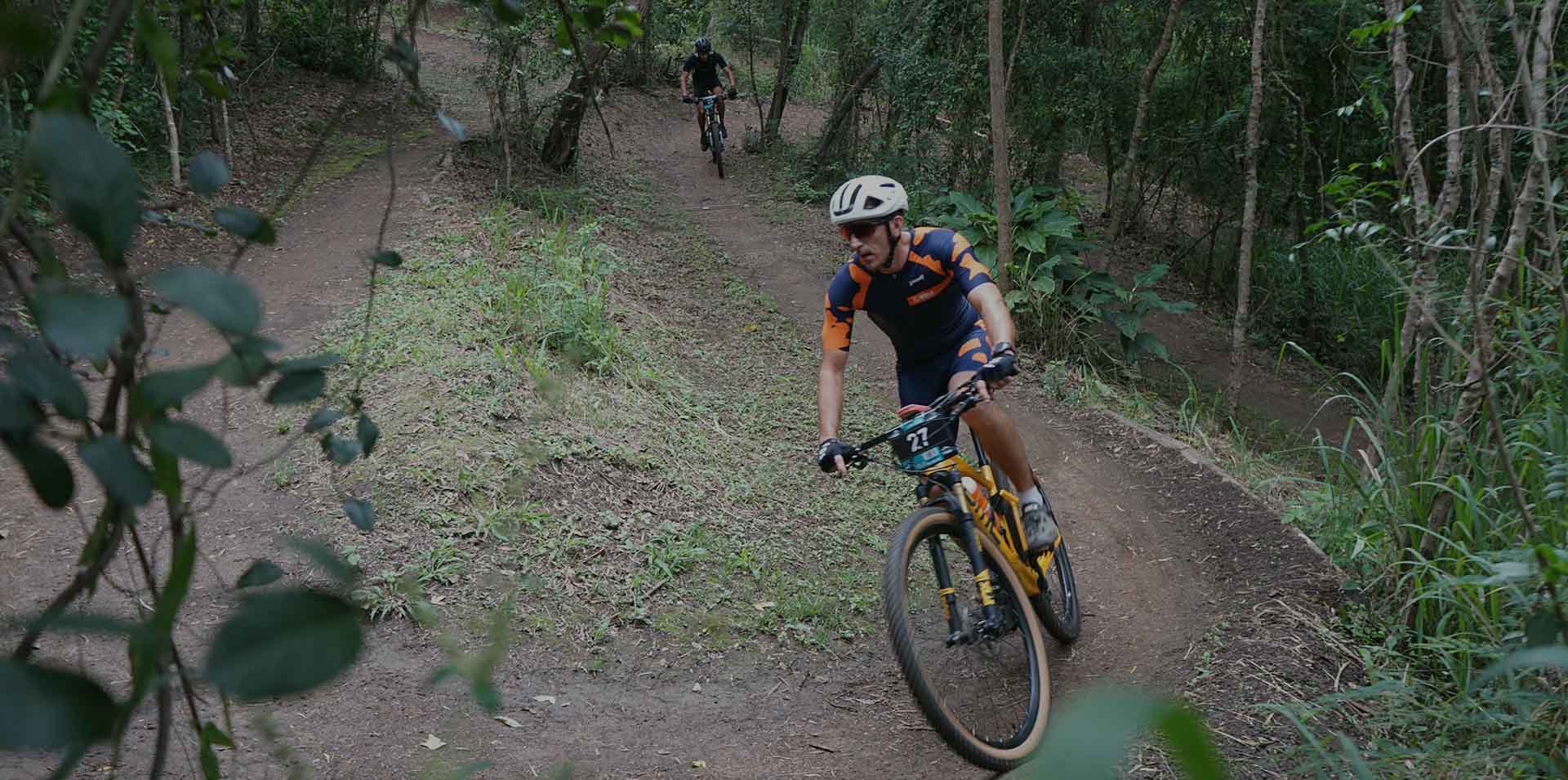 velo forêt