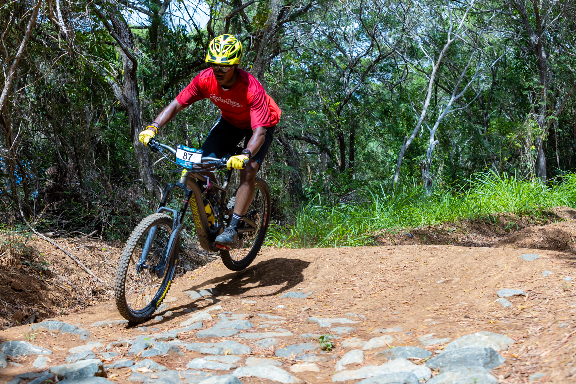 vélo forêt